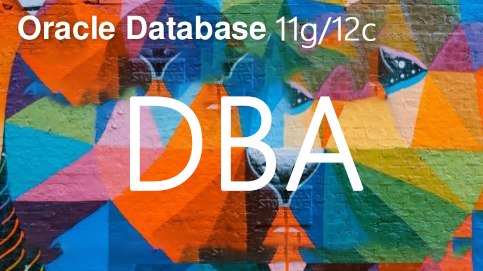 Oracle 11g/19c DBA数据库运维工程师课程